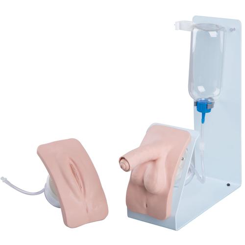 3B Catheterization Simulator Set Basic
