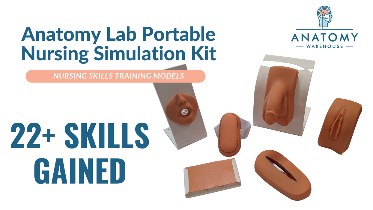 Anatomy Lab Portable Nursing Simulation Kit