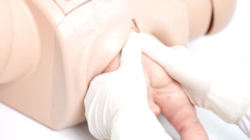 Anatomy Lab Complete Childbirth Simulator
