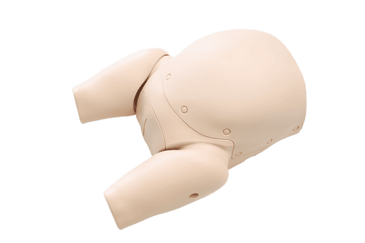 This simulator is a realistic lower half-body of a female with a full-term infant. Anatomically correct vaginal canal, ischial spine, and pubic joint facilitate training with anatomical understanding. Suited for all students in both professional education and healthcare provision.