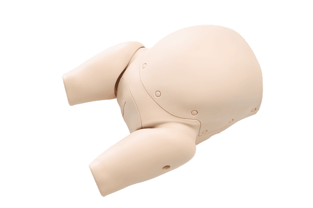 This simulator is a realistic lower half-body of a female with a full-term infant. Anatomically correct vaginal canal, ischial spine, and pubic joint facilitate training with anatomical understanding. Suited for all students in both professional education and healthcare provision.