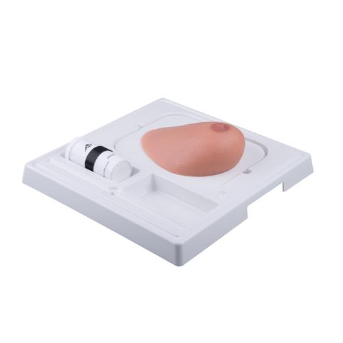 3B Sonotrain™ Breast Model With Tumours
