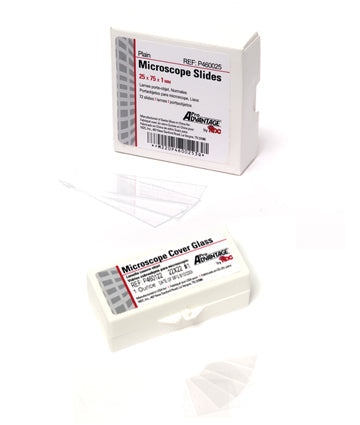 Microscope Slide, Frosted 75mm x 25mm — Pristine Medical
