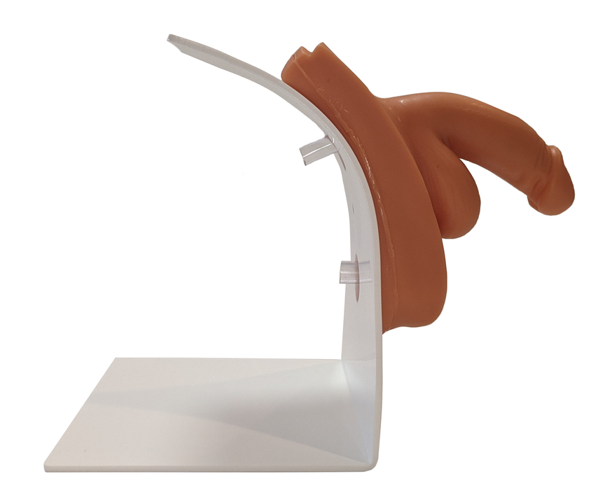 Anatomy Lab Male Urinary Catheterization and Enema Trainer with Stand