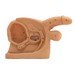 A beige anatomical model displays a male and female reproductive system, numbered for identification, sitting on a flat surface.