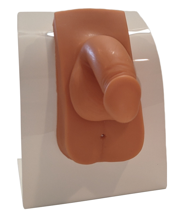 A flesh-toned penis model is affixed to a white stand.