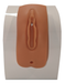 A flesh-toned vulva model is displayed on a white stand.