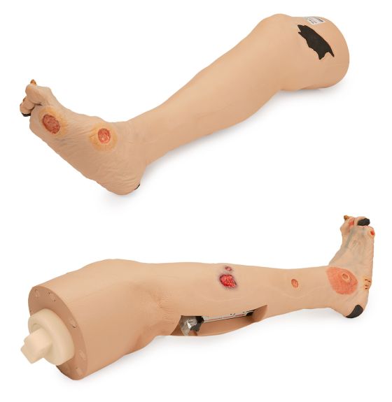 Two prosthetic legs, exhibiting various simulated wounds, are displayed against a white background. One leg is shown straight and the other is bent at the knee.