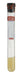 A 10 mL BD Vacutainer SST® Gel & Clot Activator Transport Plus Plastic tube contains a pale yellow liquid. The tube is capped, and stands upright.