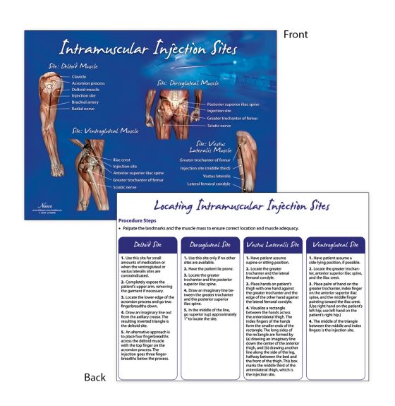 Intramuscular Injection Sites TearPad