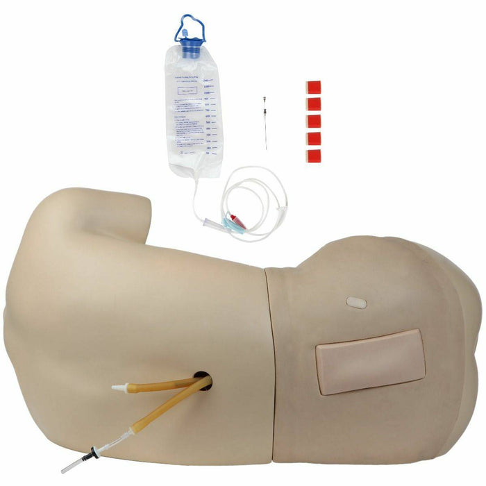 Anatomy Lab Adult Lumbar Puncture Simulator