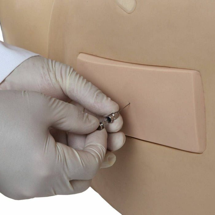 Anatomy Lab Adult Lumbar Puncture Simulator