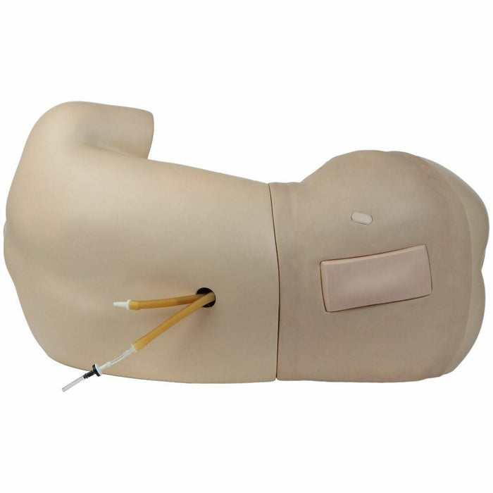 Anatomy Lab Adult Lumbar Puncture Simulator