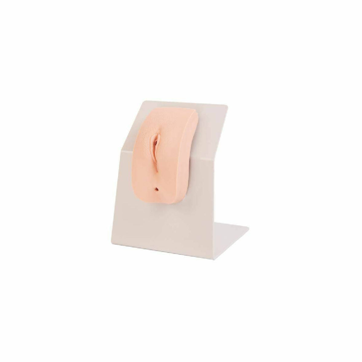 Female Catheterization Anatomy Portable Trainer - Pristine Medical