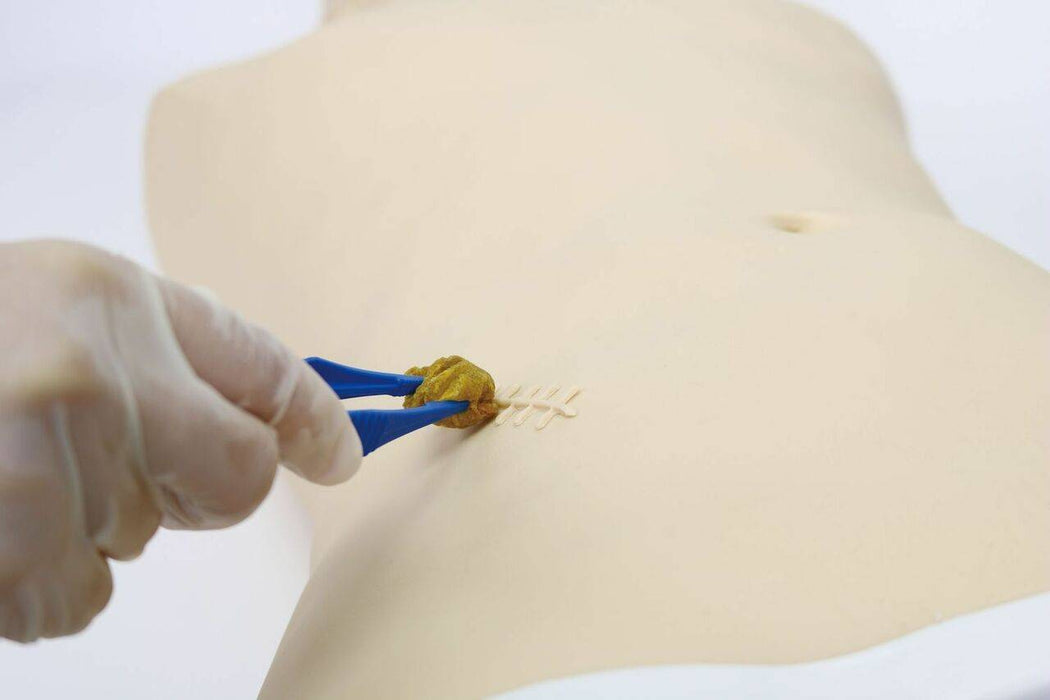 Anatomy Lab Aseptic Surgery and Surgical Incision Design Training Model