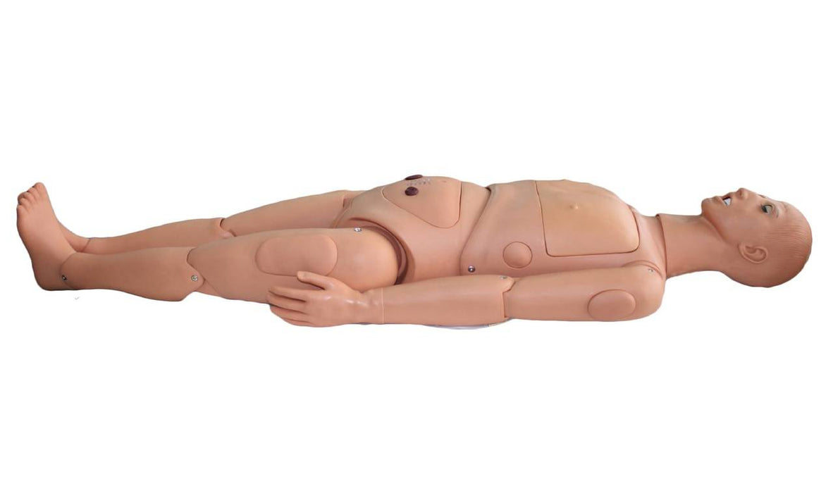 Anatomy Lab Basic Nursing Dual Sex Manikin