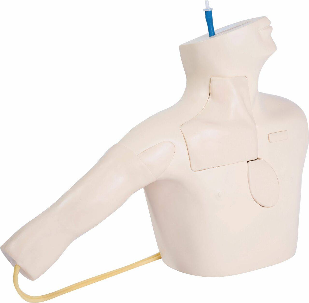Catheterization Simulator for Medical Training - Pristine Medical