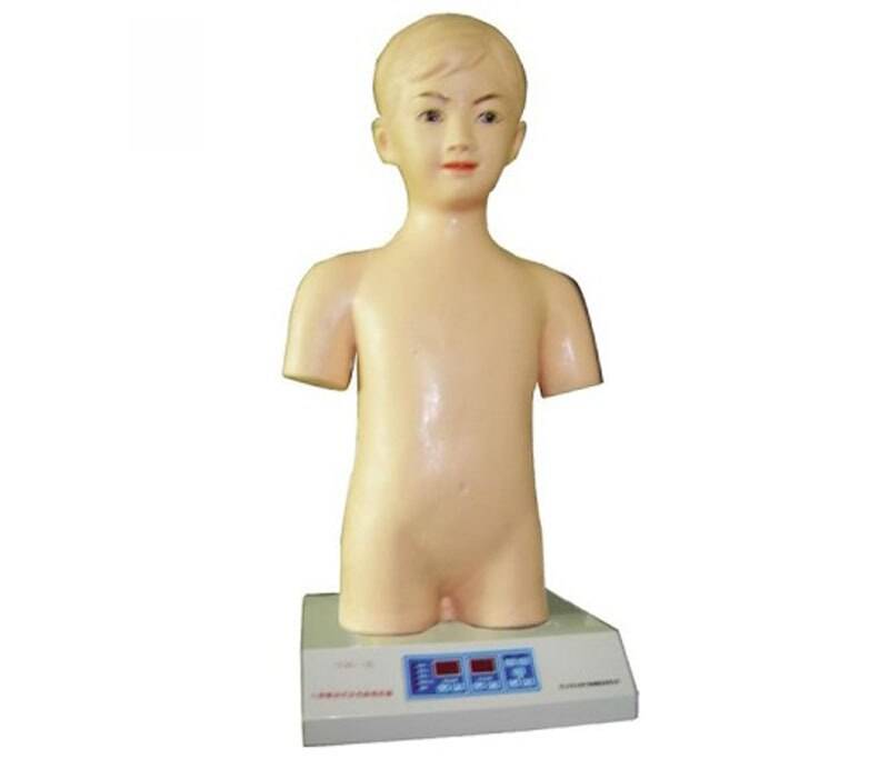 Anatomy Lab Child Auscultation Manikin (One-year-old Child)