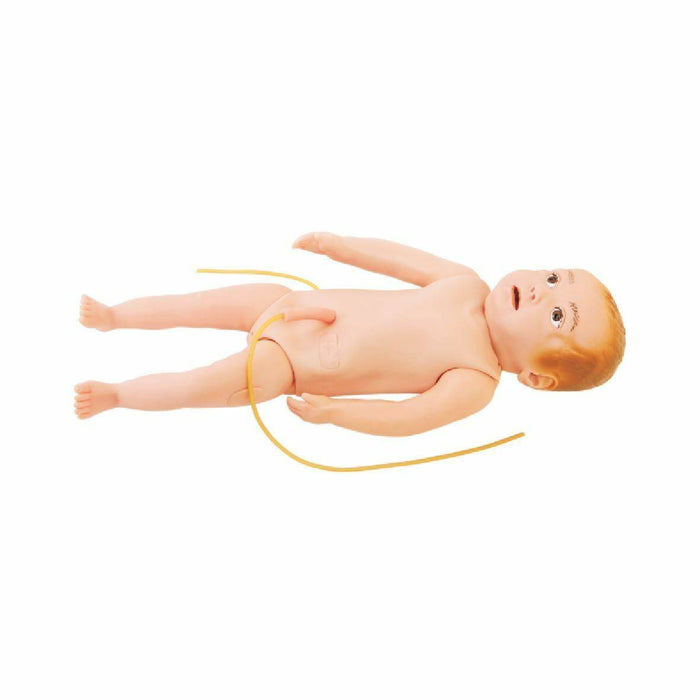 Anatomy Lab Infant Full Body Venipuncture Model