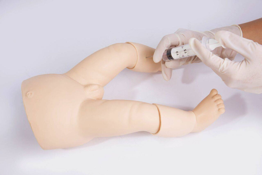 Anatomy Lab Infant Intraosseous Infusion Trainer