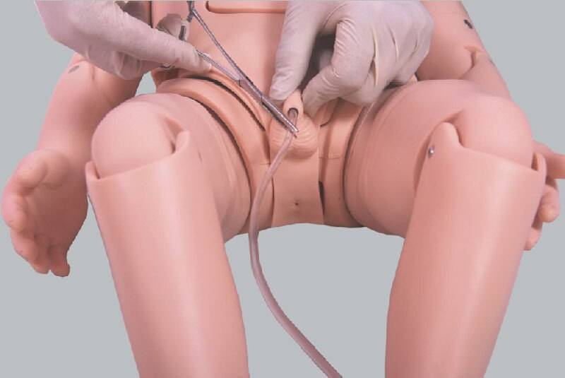 Anatomy Lab Infant Pediatric Urethral Catheterization Simulation Trainer
