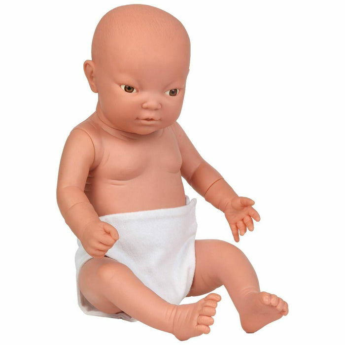 Anatomy Lab Intelligent Baby (Boy)