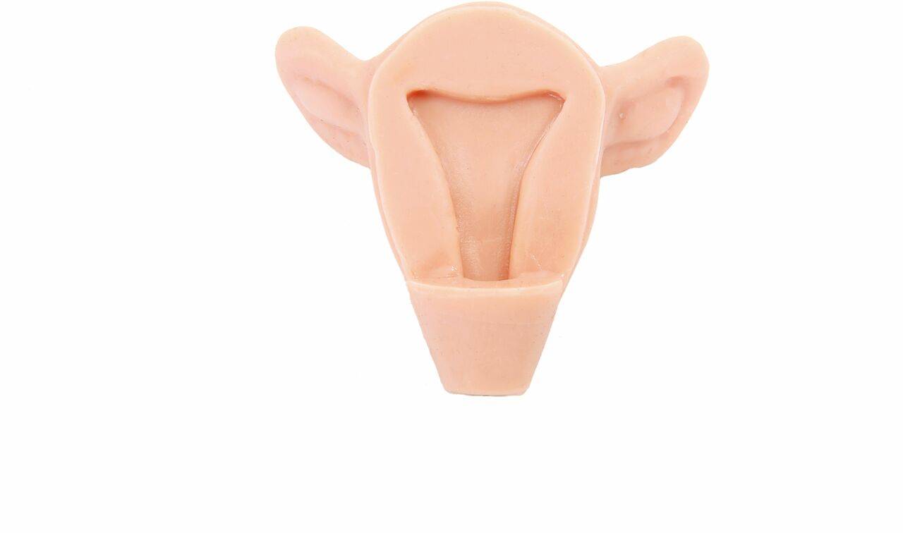 Anatomy Lab IUD Insertion Model III - Pristine Medical