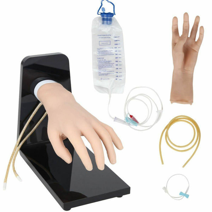 Anatomy Lab IV Injection Training Hand