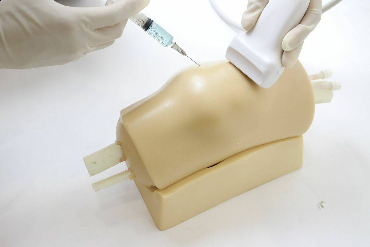 Anatomy Lab Knee Arthrocentesis Ultrasound Training Model — Pristine ...