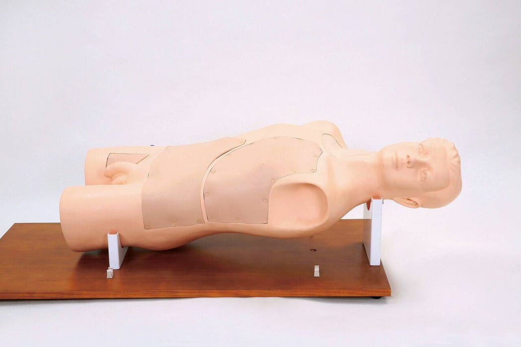 Anatomy Lab Multi-purpose Clinical Puncture Simulator