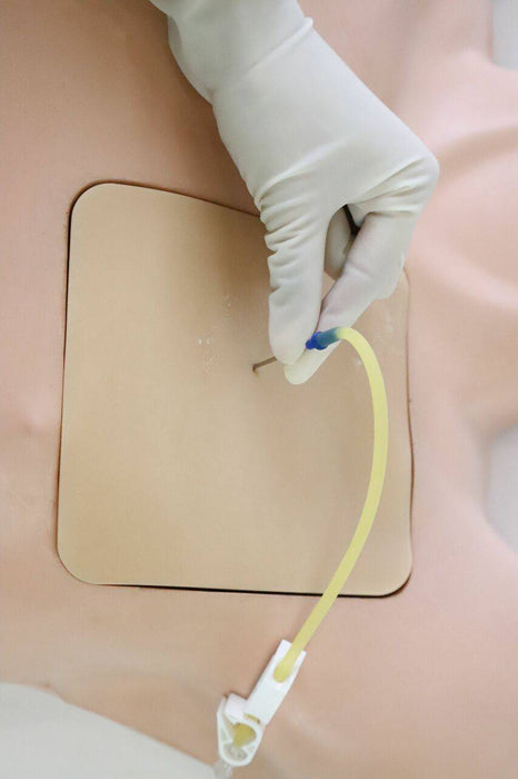 Anatomy Lab Pneumothorax and Thoracic Closed Drainage Ultrasound Training Model