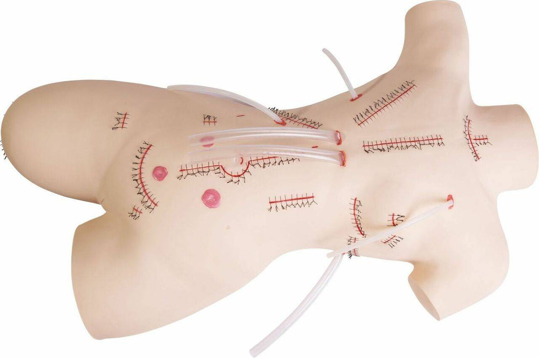 Anatomy Lab Preoperatively Aseptic Training Model