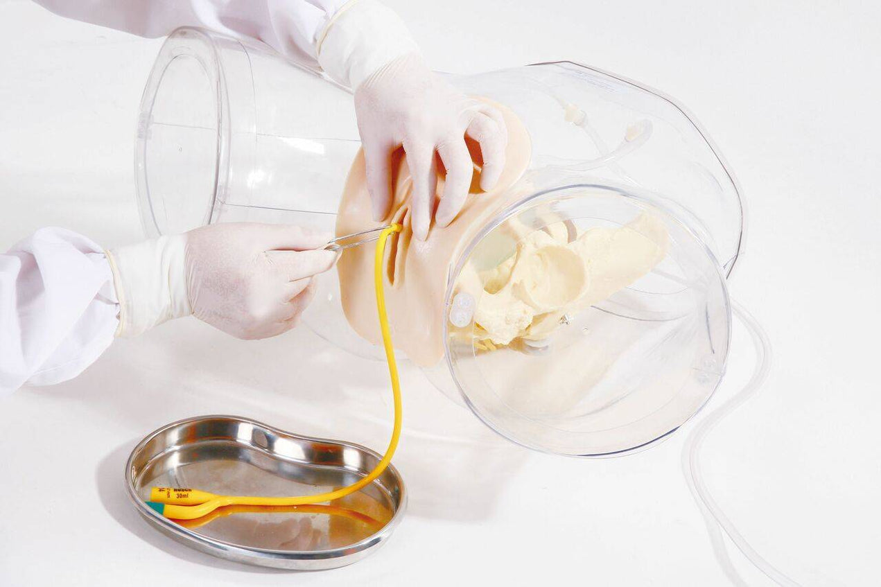 Anatomy Lab Transparent Female Catheterization Model — Pristine Medical