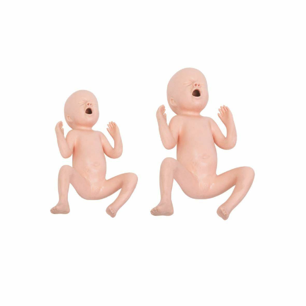 Premature Infant Model for Neonatal Training - Pristine Medical