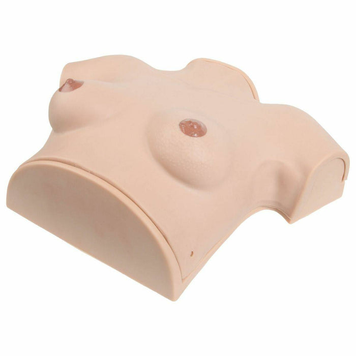 Anatomy Lab Wearable Breast Self Examination Model