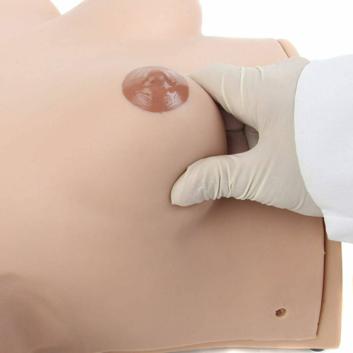Anatomy Lab Wearable Breast Self Examination Model
